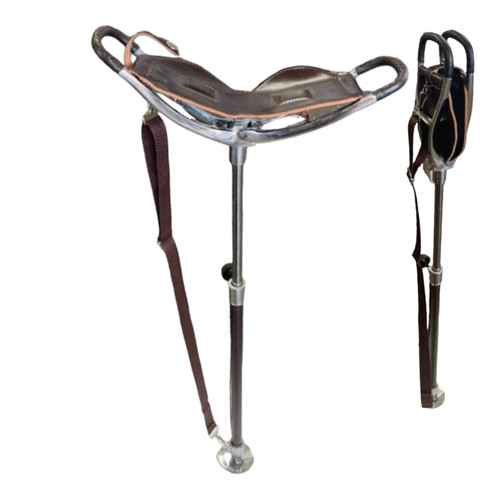Walking stick plus - walking,