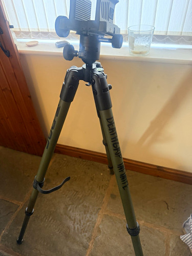 Bog infinite green - , adjustable